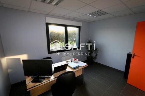 photo no. 6