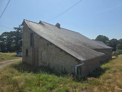 photo no. 10