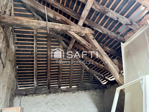 photo no. 16