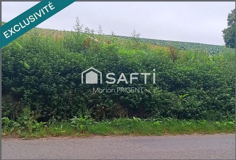 beau terrain constructible