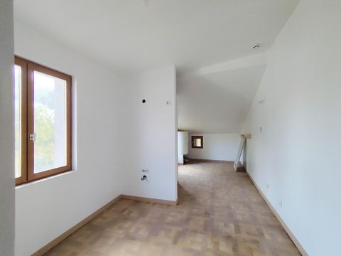 photo no. 4