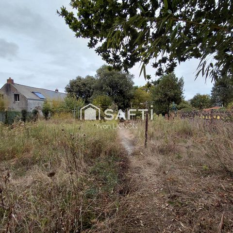 photo no. 10