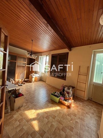 photo no. 12