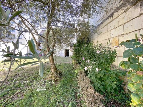 photo no. 10