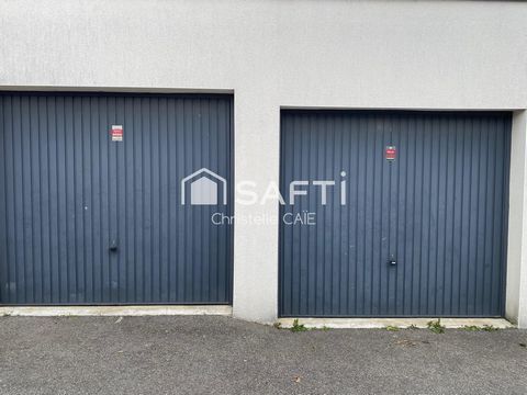 photo no. 12