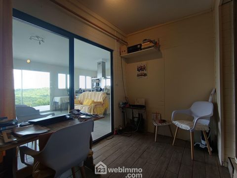 photo no. 12