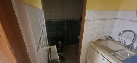 photo no. 16