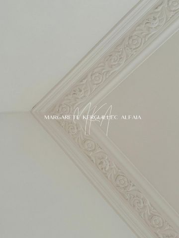 photo no. 3