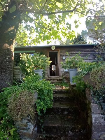 photo no. 23