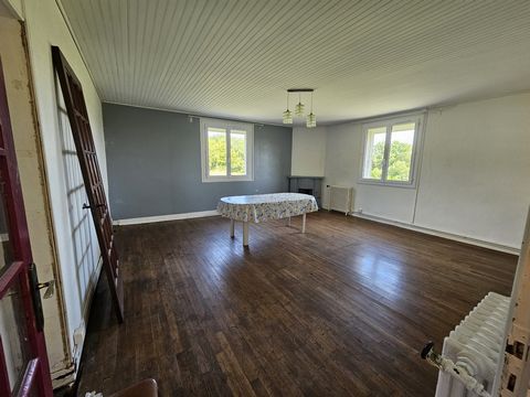 photo no. 11