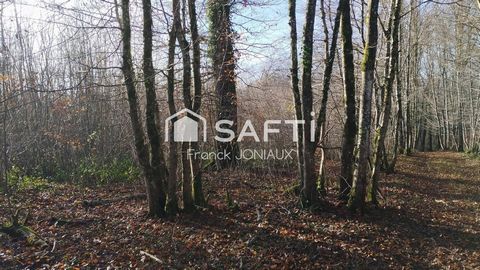 forêt à vendre