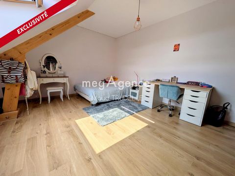 photo no. 6