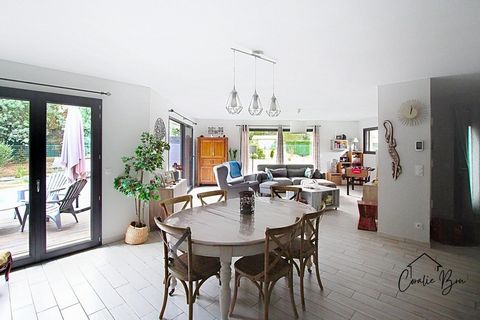 photo no. 2