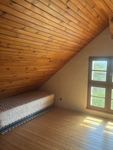 photo no. 21
