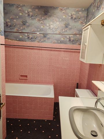 photo no. 12