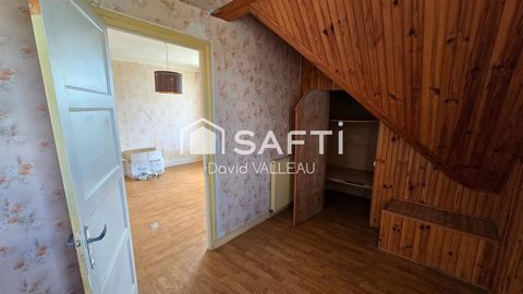 photo no. 16