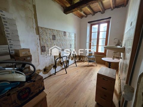 photo no. 8