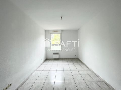photo no. 6