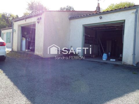 photo no. 10