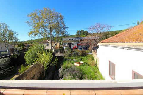 photo no. 1