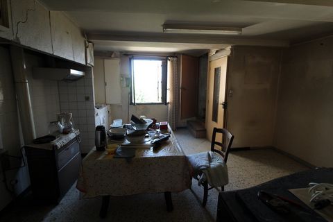 photo no. 2