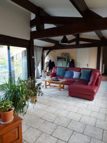 photo no. 6