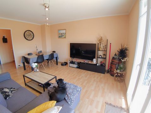 photo no. 16