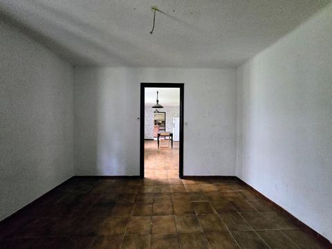 photo no. 5