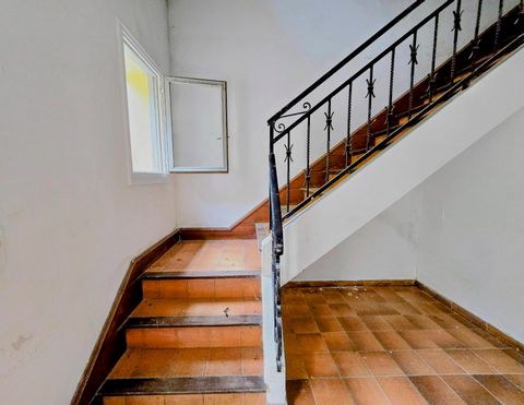 photo no. 10