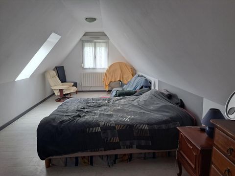 photo no. 12