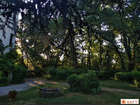 photo no. 13