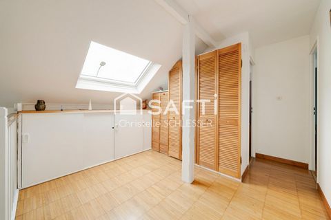 photo no. 11