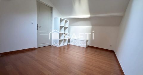 photo no. 10