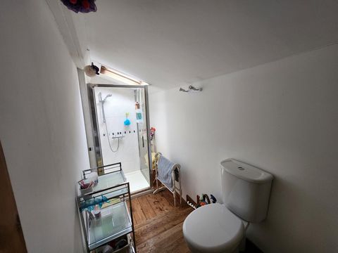 photo no. 12
