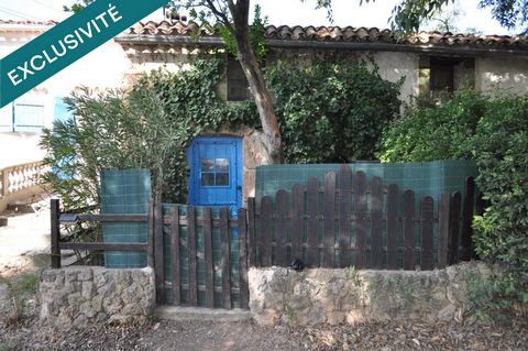 photo no. 14