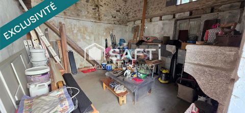 photo no. 12