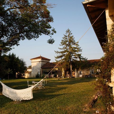 photo no. 8