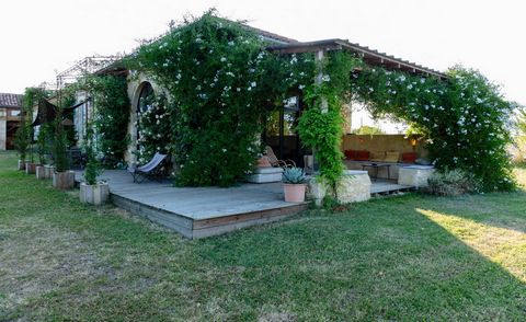 photo no. 12