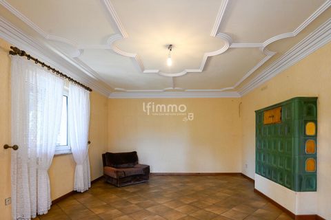 photo no. 10