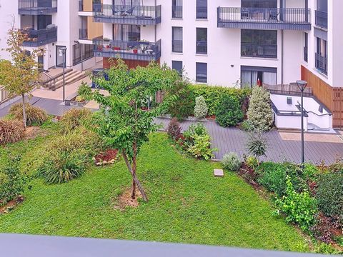 photo no. 10