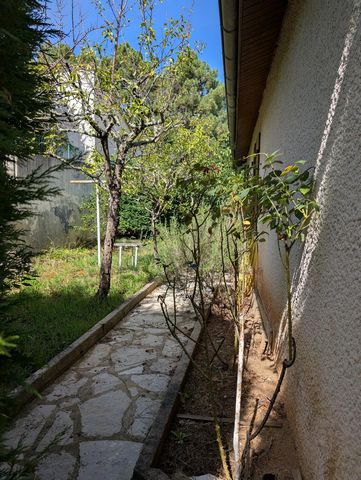 photo no. 9