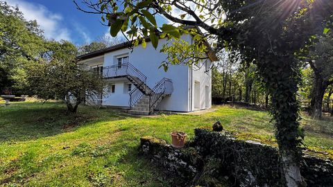 photo no. 18