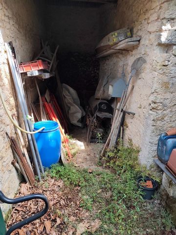 photo no. 15