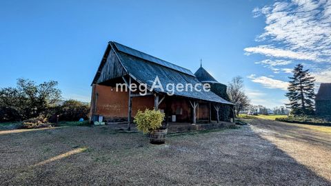 photo no. 14