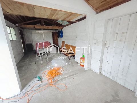 photo no. 9