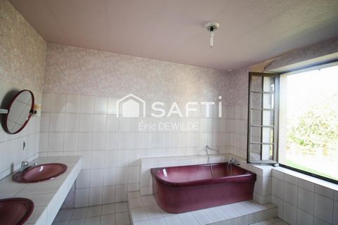 photo no. 8