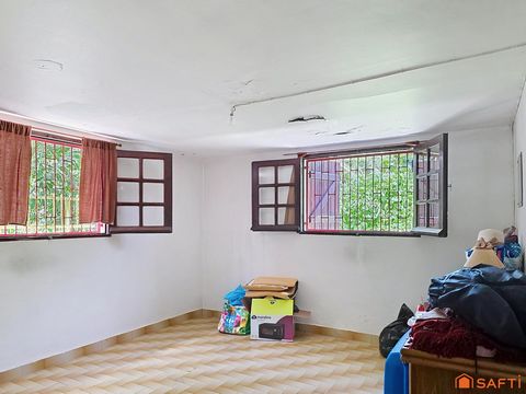photo no. 6