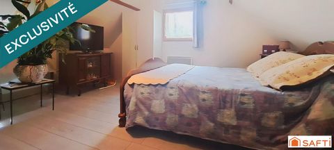 photo no. 12