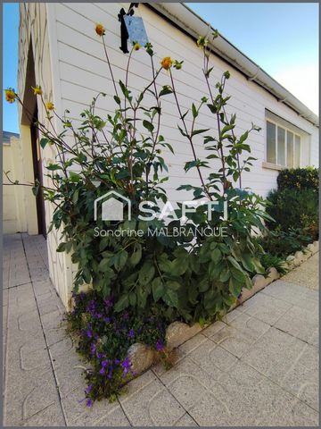 photo no. 11