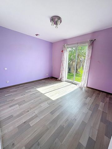 photo no. 8